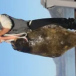 Tromvik بيت للعطل ترومسو