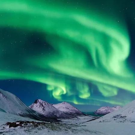 بيت للعطل Tromvik