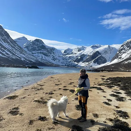 Tromvik Tromso