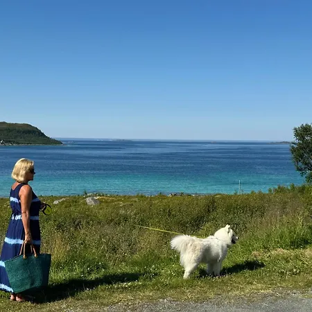 Tromvik Holiday home *