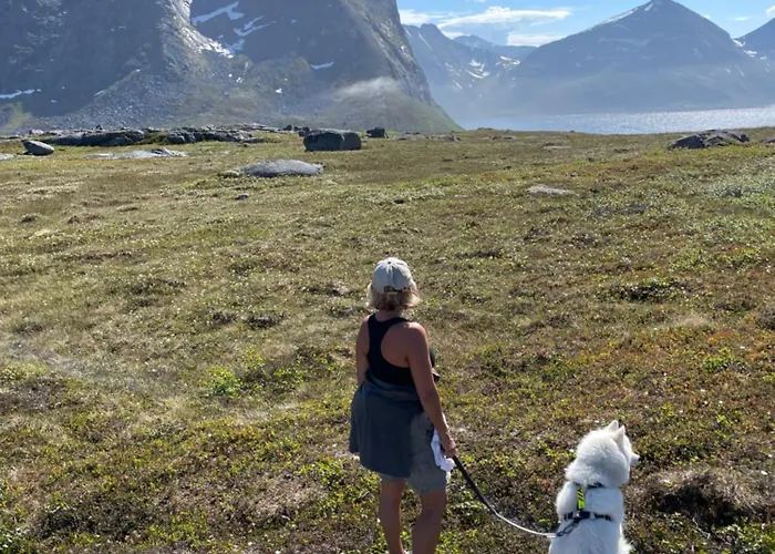 Tromvik Сasa de vacaciones