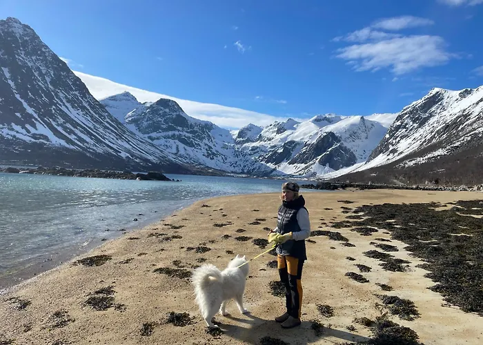 Tromvik Tromsø