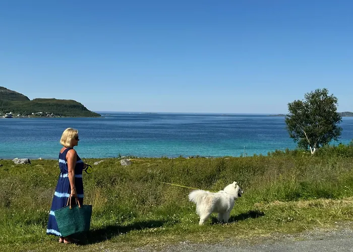 Tromvik Сasa de vacaciones *