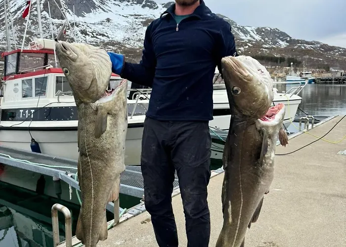 Hébergement de vacances Tromvik